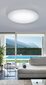 Griestu plafons Giron-S baltā krāsā, 100cm, 80W, silta toņa gaisma цена и информация | Griestu lampas | 220.lv