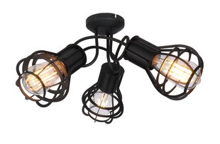 Потолочный светильник Globo Lighting CLASTRA 15388-3D цена и информация | Потолочные светильники | 220.lv