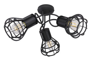 Потолочный светильник Globo Lighting CLASTRA 15388-3D цена и информация | Потолочные светильники | 220.lv