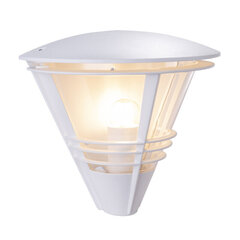 Лампы цена и информация | Уличное освещение | 220.lv