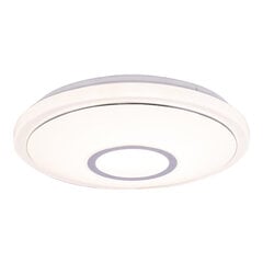 Потолочный светильник Globo Lighting CONNOR 41386-16SH цена и информация | Монтируемые светильники, светодиодные панели | 220.lv