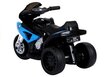 Elektriskais motocikls bērniem, BMW S1000RR, ar trīs riteņiem cena un informācija | Bērnu elektroauto | 220.lv
