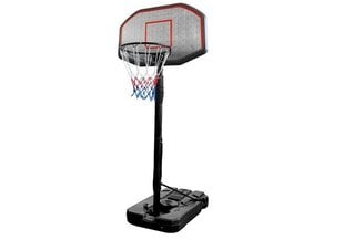 Basketbola konstrukcija 200 - 300 cm regulējama 900995310 cena un informācija | Basketbola statīvi | 220.lv