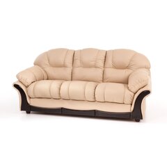 Dīvāns Bruno, 2 vietīgs cena un informācija | Dīvāni | 220.lv