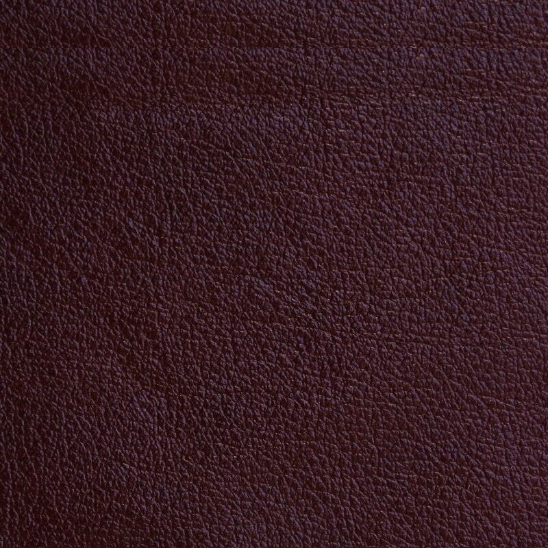Dīvāns Emma, smilškrāsas āda cena un informācija | Dīvāni | 220.lv