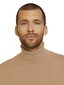 Tom Tailor vīriešu džemperis, mandeļu brūnā krāsā 907163971 cena un informācija | Vīriešu džemperi | 220.lv