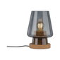 Galda lampa Paulmann Urban Jungle Iben Maks .20W E27 230V dūmstikls stikls/korķis cena un informācija | Galda lampas | 220.lv