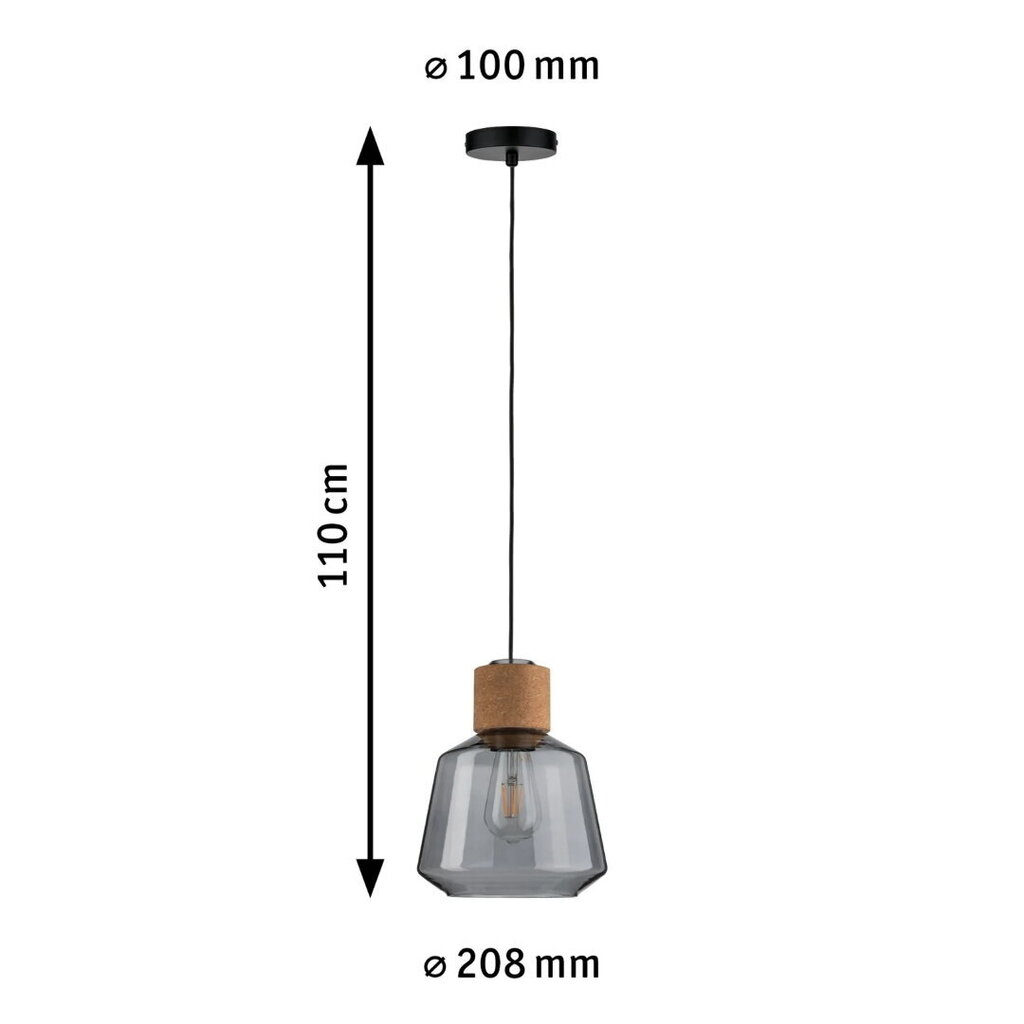 Gaismeklis Paulmann Neordic Elia Maks .20W E27 230V dūmstikls/Korķis/Melns 920053424 cena un informācija | Griestu lampas | 220.lv