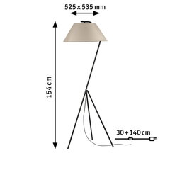 Торшер Paulmann Narve цена и информация | Настенный/подвесной светильник Eye Spot 11 BL, чёрный | 220.lv