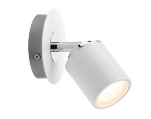 Настенный светильник Paulmann Tube макс.10Вт GU10 IP44 230В белый/хром металл цена и информация | Настенные светильники | 220.lv