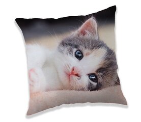 Декоративная подушка Kitten, 40 x 40 cm  цена и информация | Декоративные подушки и наволочки | 220.lv