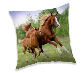 Dekoratīvais spilvens Horse Brown, 40 x 40 cm цена и информация | Декоративные подушки и наволочки | 220.lv