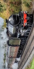 Pludmales dvielis Steam Train, 70 x 140 cm cena un informācija | Dvieļi | 220.lv