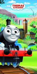 Пляжное полотенце Thomas and Friends 01, 70 x 140 cm цена и информация | Полотенца | 220.lv