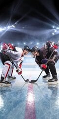 Pludmales dvielis Ice Hockey, 70 x 140 cm cena un informācija | Dvieļi | 220.lv