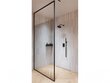 Walk-In dušas sieniņa Besco Icon, 100,110,120 x 200 cm cena un informācija | Dušas durvis, dušas sienas | 220.lv