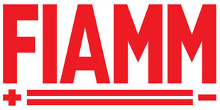Аккумулятор FIAMM Titanium Pro 80Ah 730A 12 В цена и информация | Аккумуляторы | 220.lv
