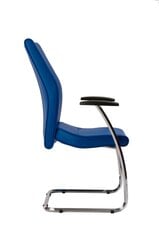 Apmeklētāja krēsls Wood Garden 1810S, zils cena un informācija | Biroja krēsli | 220.lv