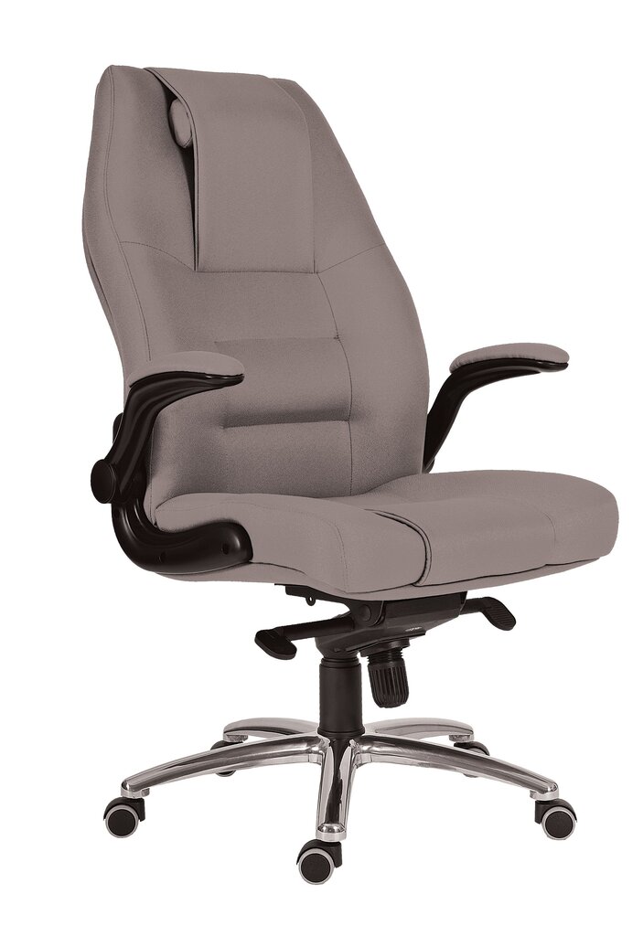 Biroja krēsls Wood Garden 8400, smilškrāsas cena un informācija | Biroja krēsli | 220.lv
