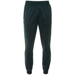 Спортивные штаны для мужчин Kappa Helge 308020 19 5320, темно-зеленый цена и информация | Мужская спортивная одежда | 220.lv