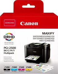 CANON INK PGI-2500 BK/C/M/Y MULTI цена и информация | Картриджи для струйных принтеров | 220.lv