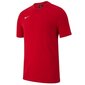 Sporta apavi Nike Y Tee Team Club 19 SS Jr AJ1548 657 цена и информация | Zēnu krekli | 220.lv