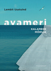 Avameri  II osa цена и информация | Романы | 220.lv