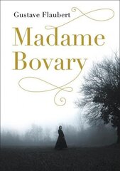 Madame Bovary цена и информация | Klasika | 220.lv