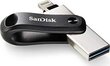 Zibatmiņa SanDisk iXpand, 64 GB cena un informācija | USB Atmiņas kartes | 220.lv