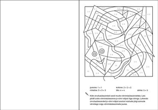 Matemaatika värviraamat. Korrutamine ja jagamine 10 piires цена и информация | Книжки - раскраски | 220.lv