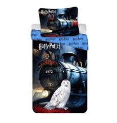 Gultas veļas komplekts Harry Potter 111 HP, 149 x 200 cm + spilvendrāna 70 x 90 cm цена и информация | Комплекты постельного белья | 220.lv