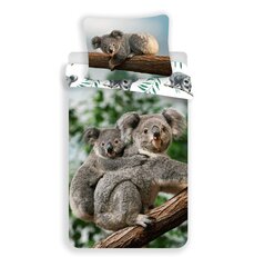 Gultas veļas komplekts Koala, 140 x 200 cm + spilvendrāna 70 x 90 cm cena un informācija | Gultas veļas komplekti | 220.lv