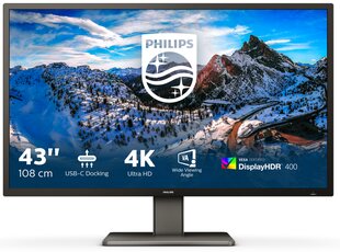 Philips 439P1/00, 43" цена и информация | Мониторы | 220.lv