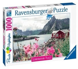 Puzle Ravensburger Reine Lofoten Norway, 1000 gab., 16740 cena un informācija | Puzles, 3D puzles | 220.lv