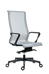 Biroja krēsls Wood Garden Epic, pelēks/melns цена и информация | Офисные кресла | 220.lv