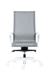Biroja krēsls Wood Garden Epic, pelēks/balts цена и информация | Офисные кресла | 220.lv