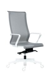 Офисное кресло Wood Garden Epic, серое/белое цена и информация | Офисные кресла | 220.lv