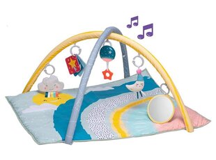 Izglītojošs paklājs Taf Toys Magical Mini Moon Gym cena un informācija | Attīstošie paklājiņi | 220.lv