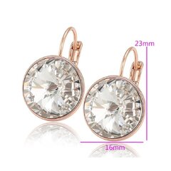 Eleganti auskari ar Swarovski kristāliem цена и информация | Серьги Pupsik LT | 220.lv