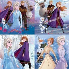 Puzle Frozen II, 4 gab. цена и информация | Пазлы | 220.lv