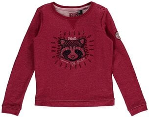 Bērnu džemperis O´Neill 7P6478-3023-164 cena un informācija | Jakas, džemperi, žaketes, vestes meitenēm | 220.lv