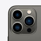 Apple iPhone 13 Pro Max, 256GB, Graphite цена и информация | Mobilie telefoni | 220.lv