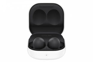 Samsung Galaxy Buds 2, Graphite SM-R177NZKAEUD cena un informācija | Austiņas | 220.lv