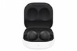 Samsung Galaxy Buds 2, Graphite SM-R177NZKAEUD цена и информация | Austiņas | 220.lv