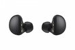 Samsung Galaxy Buds 2, Graphite SM-R177NZKAEUD цена и информация | Austiņas | 220.lv