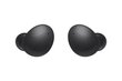 Samsung Galaxy Buds 2, Graphite SM-R177NZKAEUD цена и информация | Austiņas | 220.lv