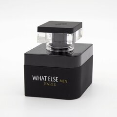 Ароматизированная вода для мужчин What else EDP, 100 ml цена и информация | Мужские духи | 220.lv