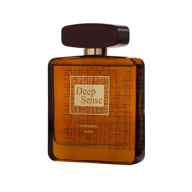 Aromātisks ūdens vīriešiem Deep Sense EDP, 100 ml цена и информация | Vīriešu smaržas | 220.lv