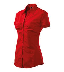 Шикарная рубашка для женщин цена и информация | Женские блузки, рубашки | 220.lv