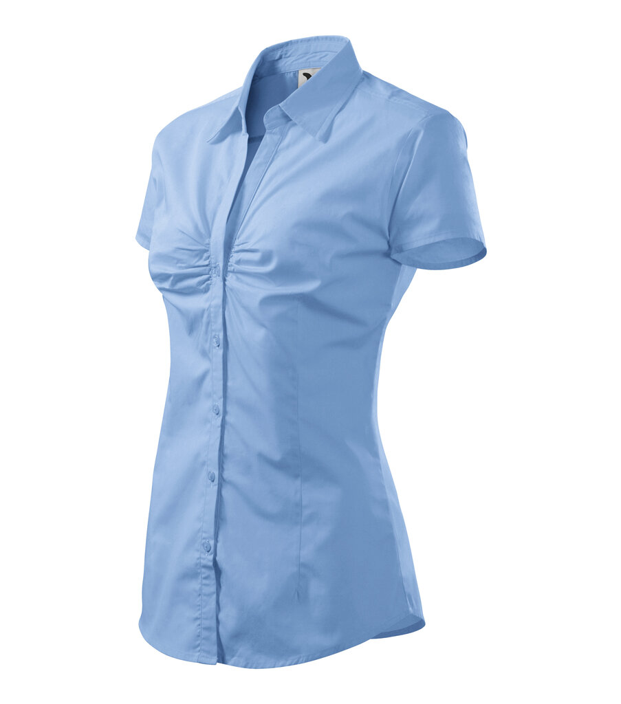 Šiks krekls sievietēm cena un informācija | Blūzes, sieviešu krekli | 220.lv